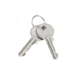 Armadillo Spare Keys - Pair