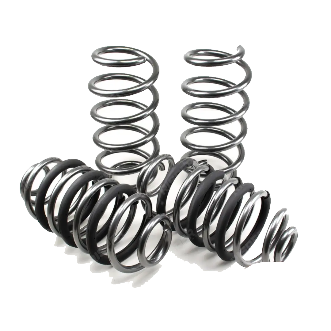Lowering Springs